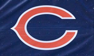 NFL: JAN 03 Packers at Bears