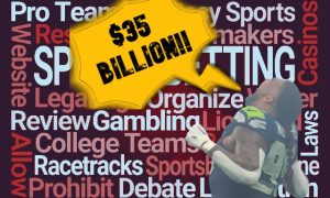 NFL sports betting estimate 2024