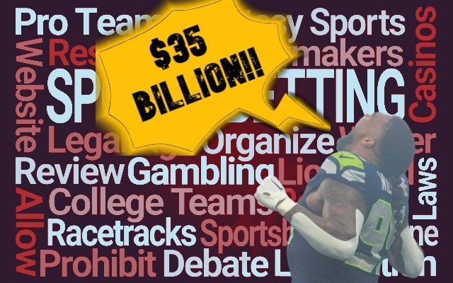 NFL sports betting estimate 2024