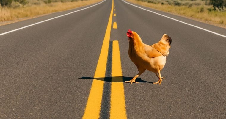 a chicken crossing a road