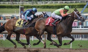 Horse racing competition