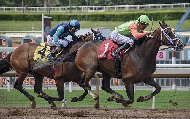 Horse racing competition