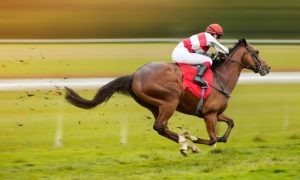 Image with Shaving Effect of Brown Thoroughbred Horse Race with Jockey