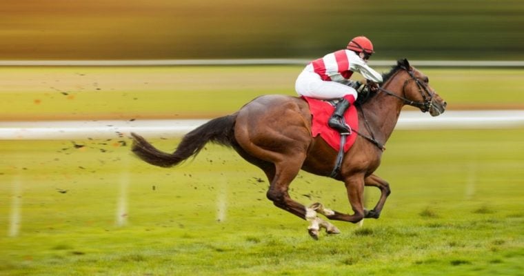 Image with Shaving Effect of Brown Thoroughbred Horse Race with Jockey