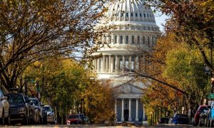 Street View of Fall Foliage Surrounding U.S. Capitol Building