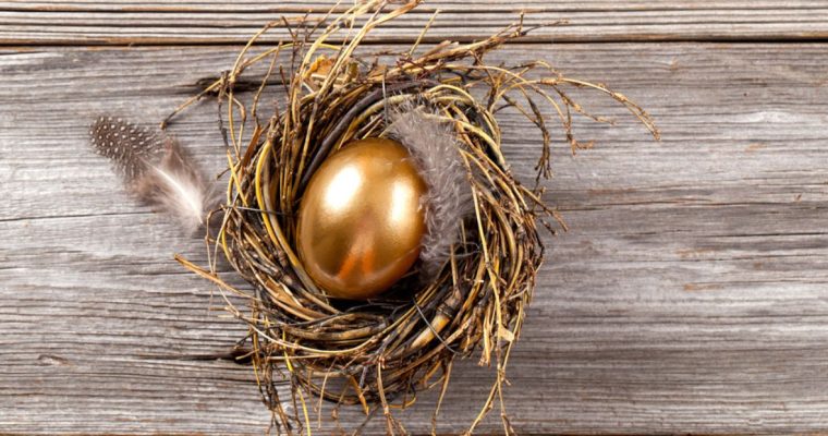 Bird's Nest with Gold Egg Sits On Top Of Wood Table