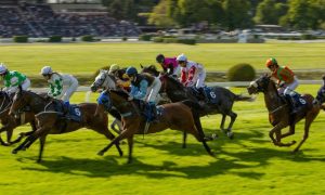 Group of Horses with Jokeys Racing Toward Finish Line on Green Grass Track