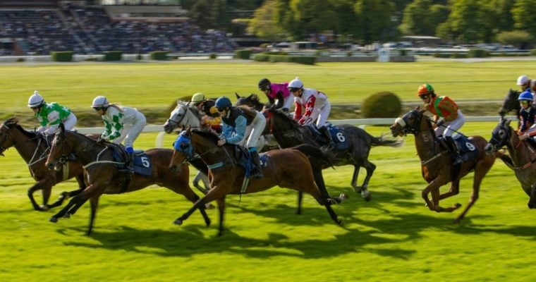 Group of Horses with Jokeys Racing Toward Finish Line on Green Grass Track