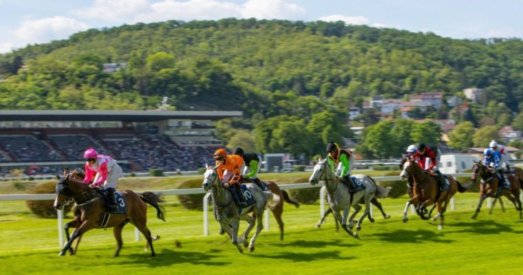 Professional US Horse Racing on A Sunny Day