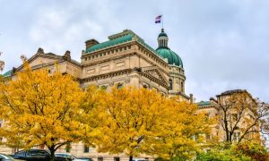 Yellow Folliage On Trees Outside the Indiana State Capitol Building