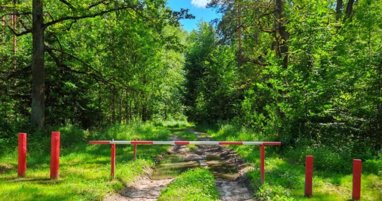Green Treees Surround Road Through Forest That is Blocked With Red and White Bar Barrier