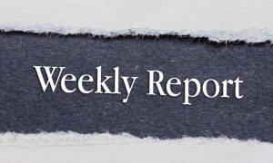 Ripped White Paper Shows Gray Flecked Paper Underneath with Words Weekly Report