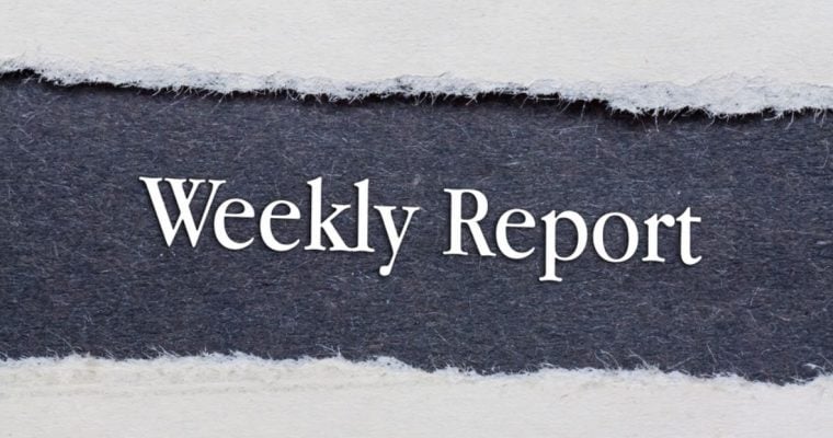 Ripped White Paper Shows Gray Flecked Paper Underneath with Words Weekly Report