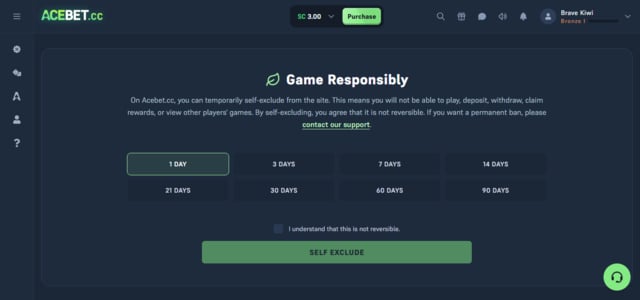 Acebet's responsible gaming options