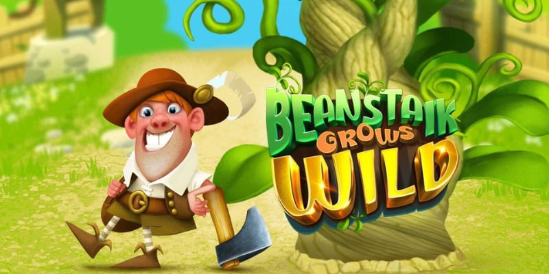 Beanstalk Grows Wild at MegaBonanza