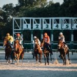 Group on Brown Racing Horses Exit the Gate with Jockeys Riding
