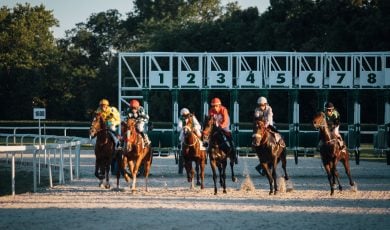Group on Brown Racing Horses Exit the Gate with Jockeys Riding