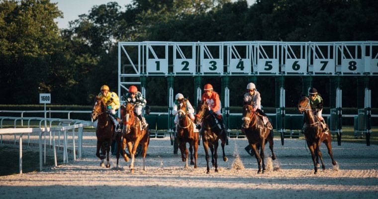 Group on Brown Racing Horses Exit the Gate with Jockeys Riding