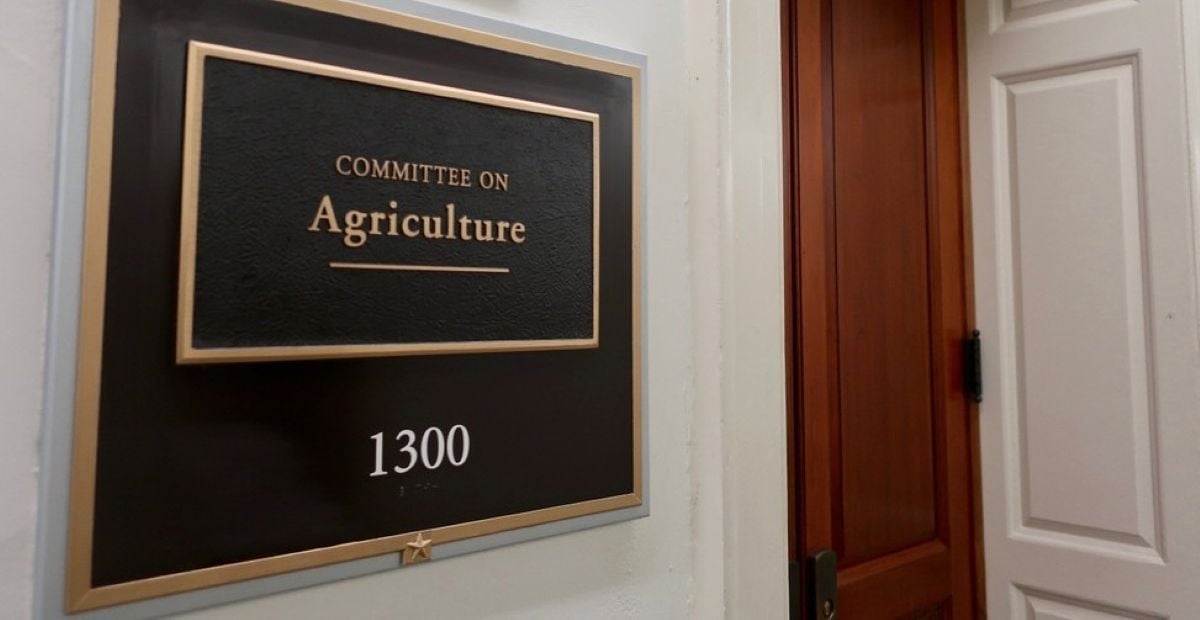 House Panel Probes CFTC Over Sports Prediction Markets