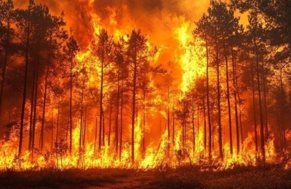 Wildfire Prediction Markets Draw Scrutiny as US Lawmakers Weigh Limits