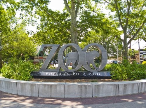 FanDuel Cancels VIP Zoo Outing as Pennsylvania Reviews Reward