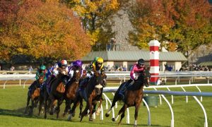 Kentucky Sports Betting, Keeneland Race Course,