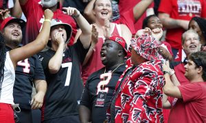 georgia sports betting, falcons fans