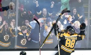 Bruins Hockey