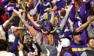 minnesota sports betting, vikings fans