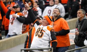 ohio sportsbook launch, bengals