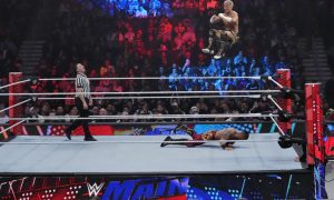 WWE Wrestling