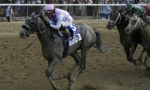 exacta betting Breeders Cup