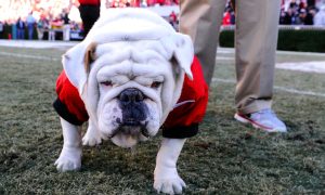 Uga, Georgia Bulldogs, sports betting