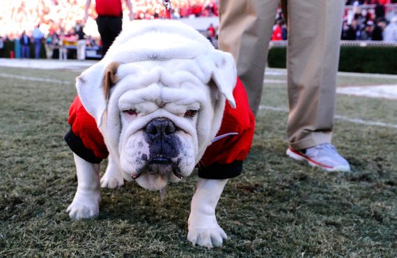 Uga, Georgia Bulldogs, sports betting