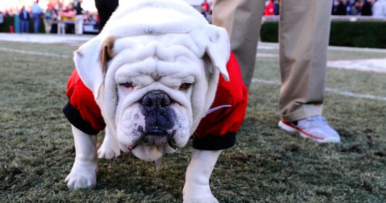 Uga, Georgia Bulldogs, sports betting