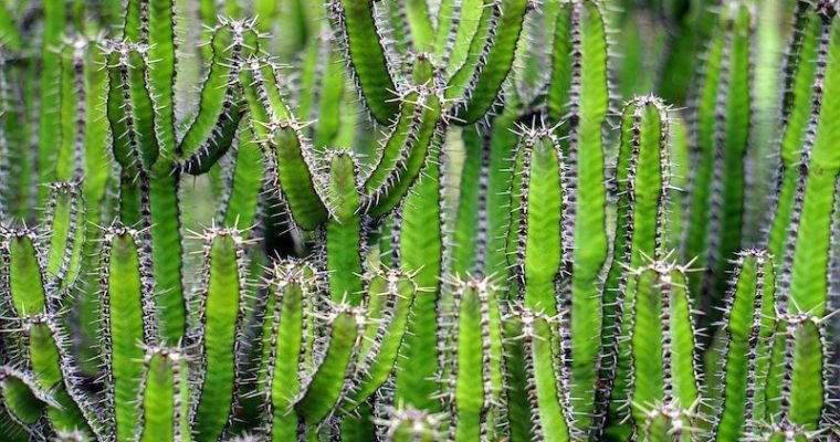 Arizona Sports betting bill