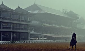 Beyer Speed Figures Belmont Stakes