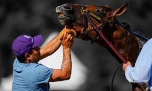Beyer Speed Figure Preakness