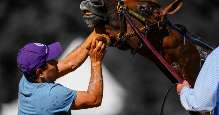 Beyer Speed Figure Preakness