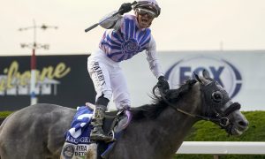 Arcangelo, with jockey Javier Castellano, is featured in 2023 Breeders' Cup odds and Gaming Today's field overview of Breeders' Cup Classic horses and contenders.