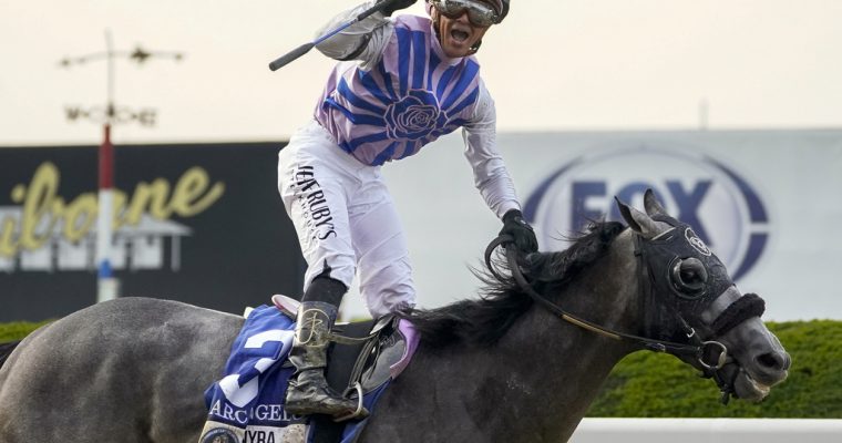 Arcangelo, with jockey Javier Castellano, is featured in 2023 Breeders' Cup odds and Gaming Today's field overview of Breeders' Cup Classic horses and contenders.
