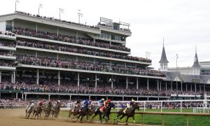 What is a Place Bet in Horse Racing?