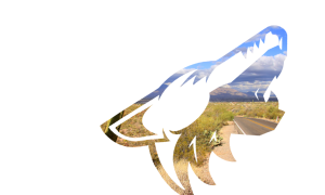 SaharaBets Coyotes