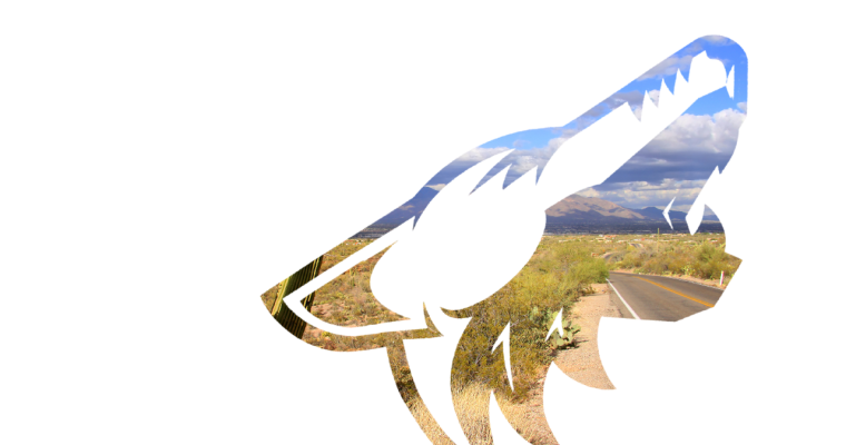 SaharaBets Coyotes