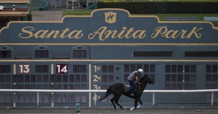 Kentucky Derby prep races: DraftKings director Johnny Avello talks about the importance of DK Horse San Felipe Stakes in California.