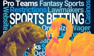 Florida-sports-betting-update