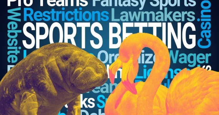 Florida Sports Betting: What Now After Court Win?
