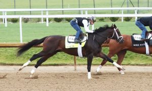 Champion Forte was made the morning-line favorite for the 2023 Kentucky Derby at Churchill Downs on May 6.