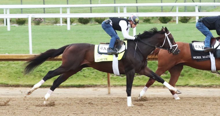 Champion Forte was made the morning-line favorite for the 2023 Kentucky Derby at Churchill Downs on May 6.