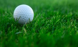 WGC Betting